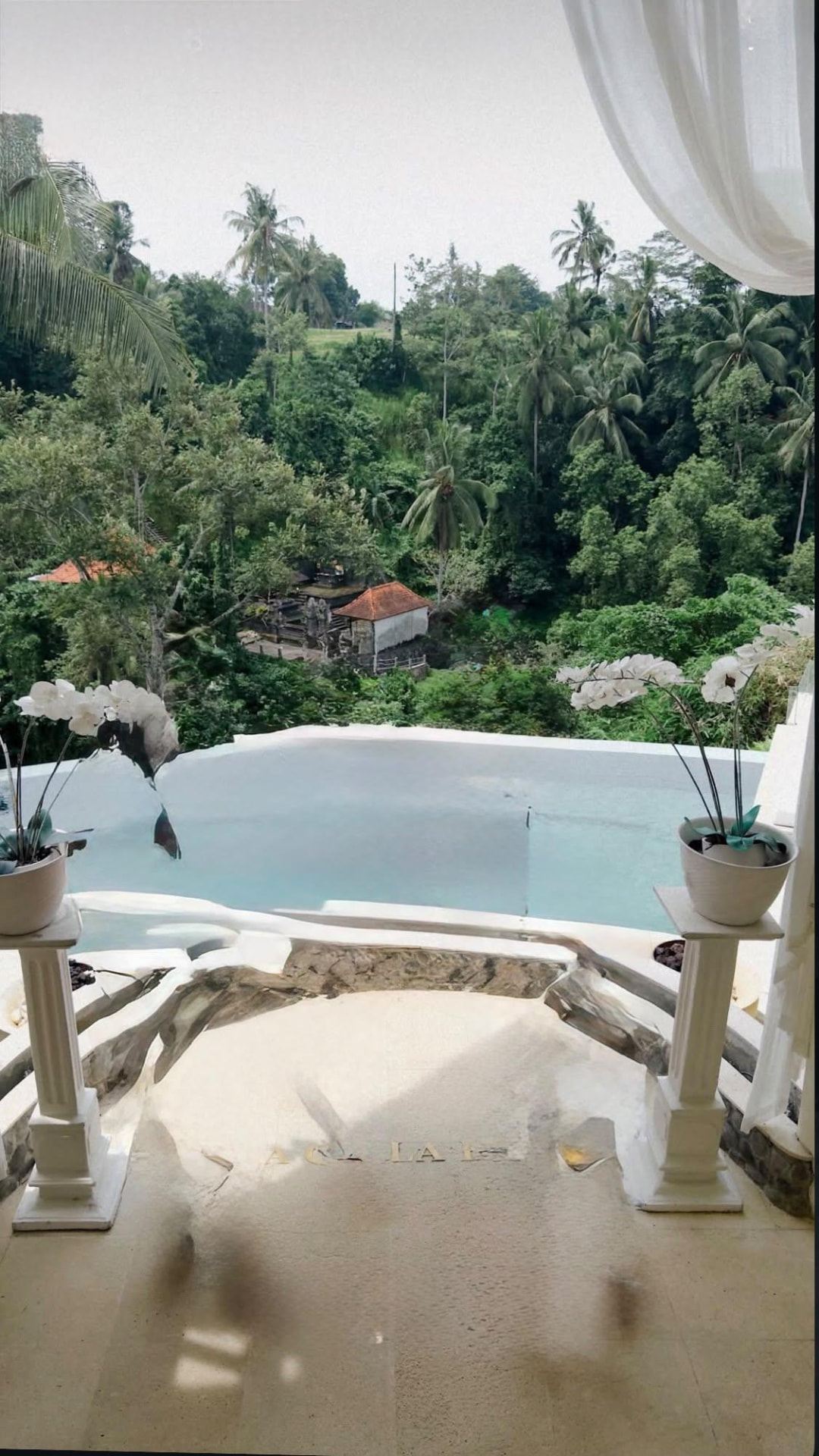 A private infinity pool overlooking lush tropical gardens, framed by white curtains